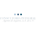 consultoria integral agente de seguros.png
